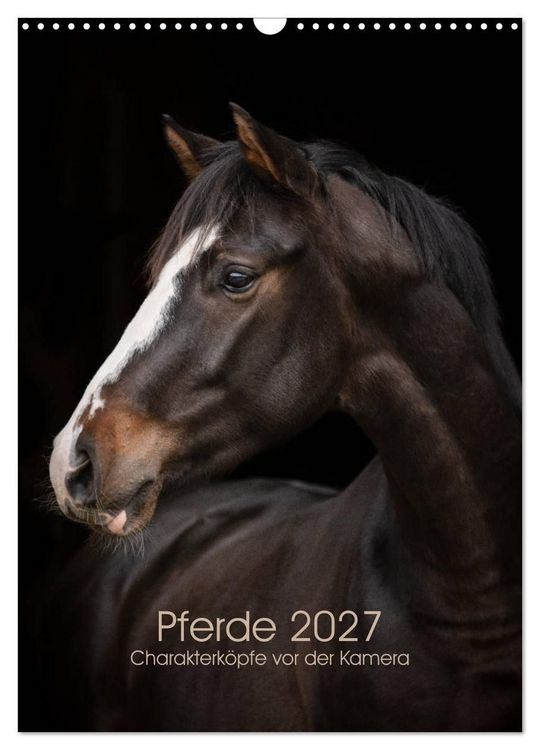 Produktbild: Pferde 2027 - Charakterk&ouml;pfe vor der Kamera (Wandkalender 2027 DIN A3 hoch), CALVENDO Monatskalender