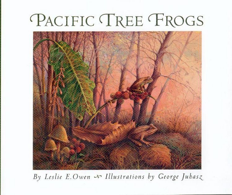 Produktbild: Pacific Tree Frogs