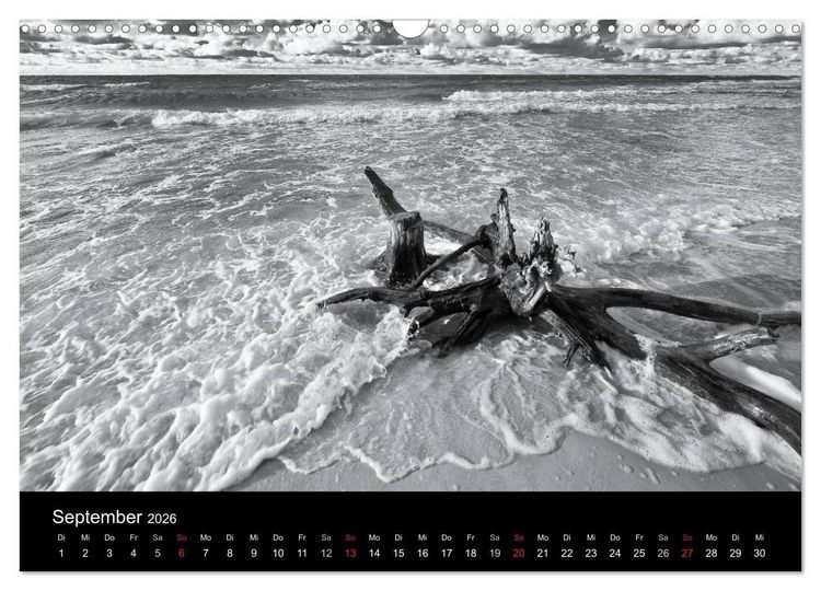 Produktbild: Strandspaziergang an der Ostsee (Wandkalender 2026 DIN A3 quer), CALVENDO Monatskalender
