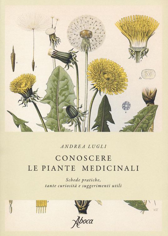 Produktbild: Conoscere le piante medicinali. Schede pratiche, tante curiosità e suggerimenti utili
