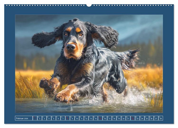 Produktbild: Gordon Setter. Edle Seelen in der Natur (Wandkalender 2026 DIN A2 quer), CALVENDO Monatskalender