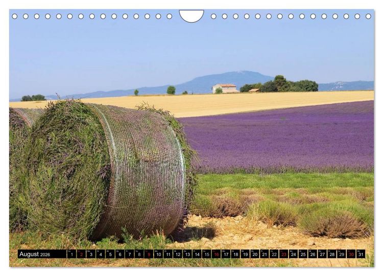 Produktbild: Lavendel (Wandkalender 2026 DIN A4 quer), CALVENDO Monatskalender