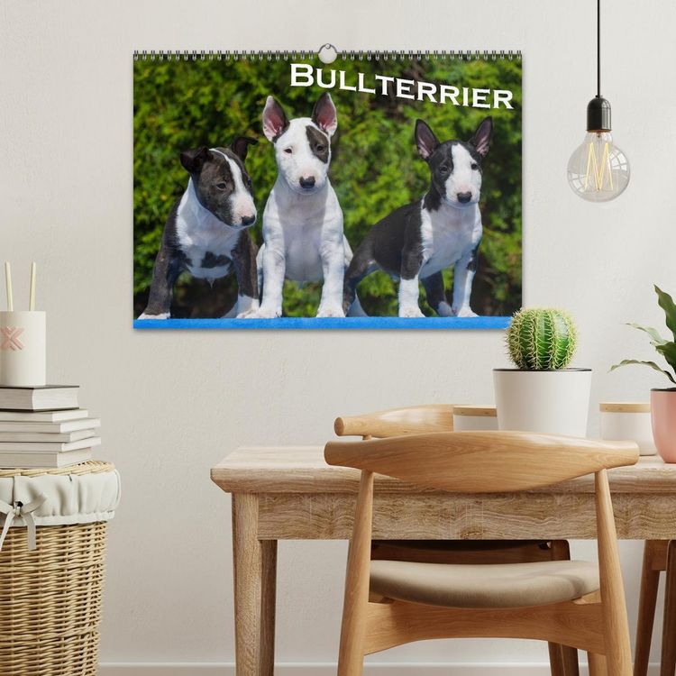 Produktbild: Bullterrier (Wandkalender 2026 DIN A3 quer), CALVENDO Monatskalender