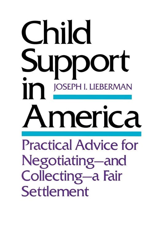Produktbild: Child Support in America