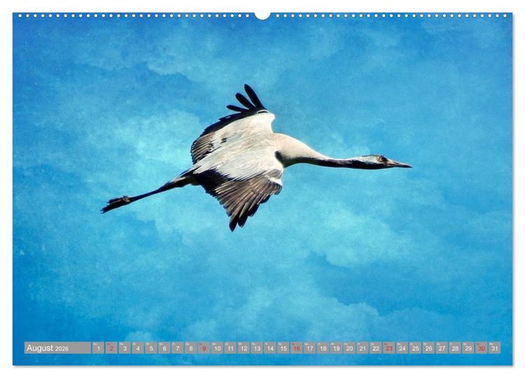 Produktbild: KranichRomantik (hochwertiger Premium Wandkalender 2026 DIN A2 quer), Kunstdruck in Hochglanz