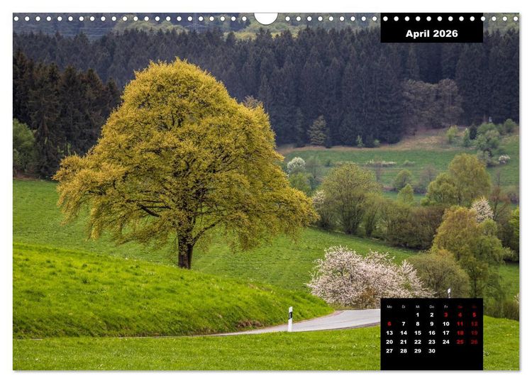 Produktbild: Malerisches Sauerland (Wandkalender 2026 DIN A3 quer), CALVENDO Monatskalender