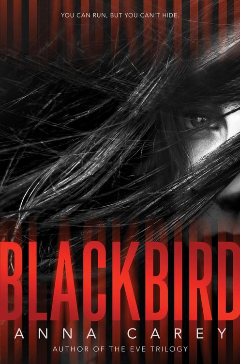 Produktbild: Blackbird