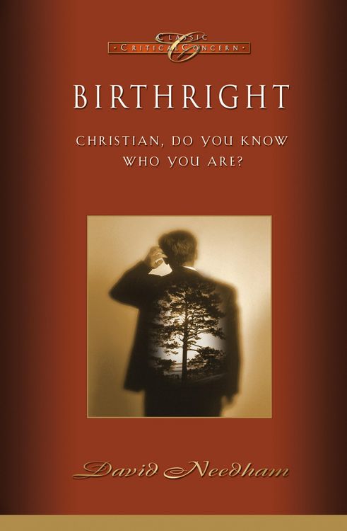 Produktbild: Birthright