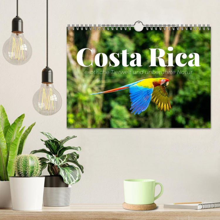 Produktbild: Costa Rica - exotische Tierwelt und unber&uuml;hrte Natur (Wandkalender 2026 DIN A4 quer), CALVENDO Monatskalender