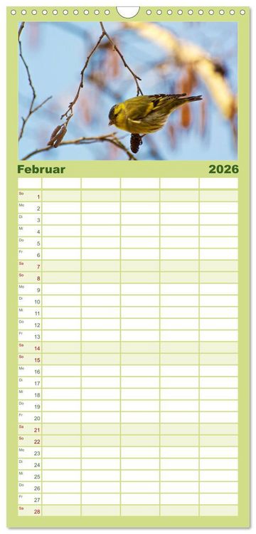 Produktbild: Familienplaner 2026 - Heimische V&ouml;gel mit 5 Spalten (Wandkalender, 21 x 45 cm) CALVENDO