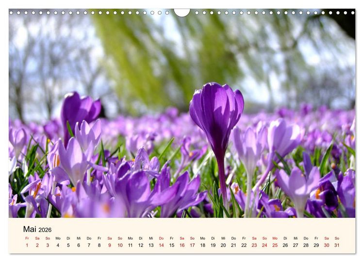 Produktbild: Die Jahreszeiten. Magie des Wandels (Wandkalender 2026 DIN A3 quer), CALVENDO Monatskalender