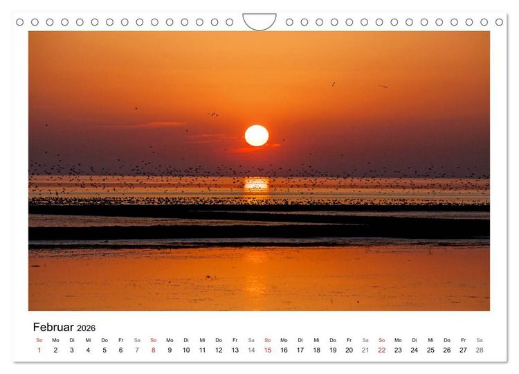 Produktbild: Ostfriesland - Tour (Wandkalender 2026 DIN A4 quer), CALVENDO Monatskalender