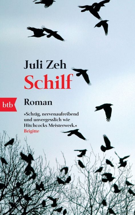 Produktbild: Schilf