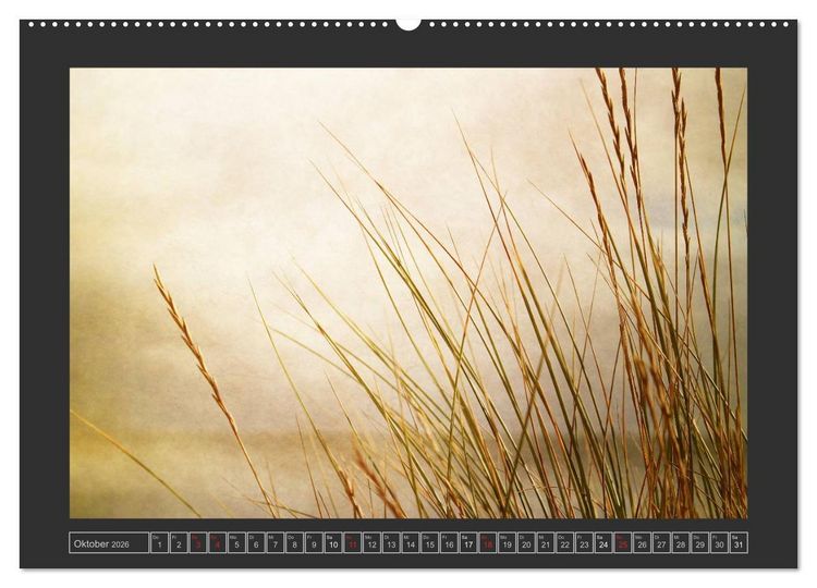 Produktbild: Malerisches Sylt (hochwertiger Premium Wandkalender 2026 DIN A2 quer), Kunstdruck in Hochglanz