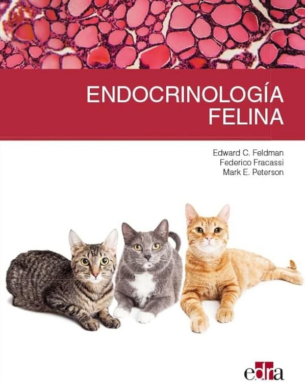 Produktbild: Endocrinolog&iacute;a felina