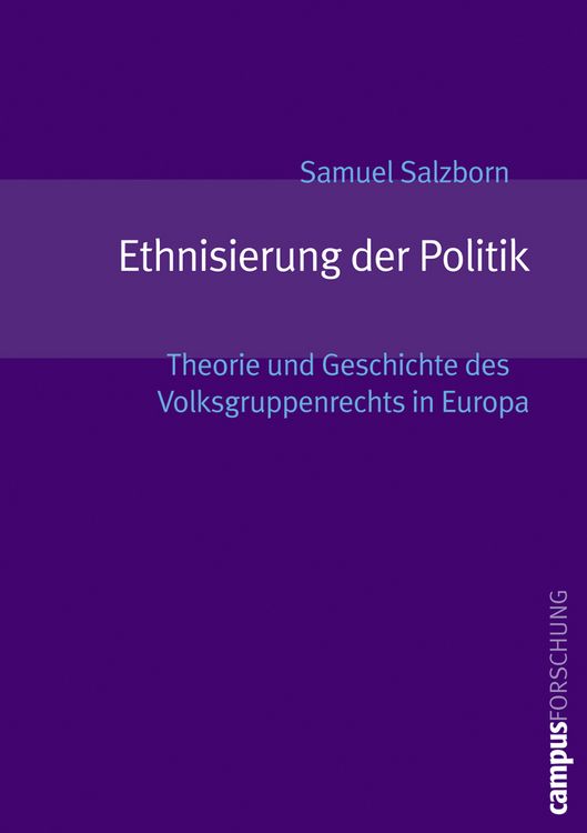 Produktbild: Ethnisierung der Politik
