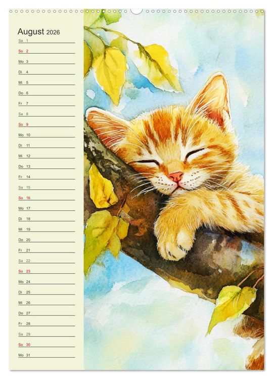 Produktbild: Bezaubernde Katzen. Miezen im lieblichen Aquarell-Stil (Wandkalender 2026 DIN A2 hoch), CALVENDO Monatskalender
