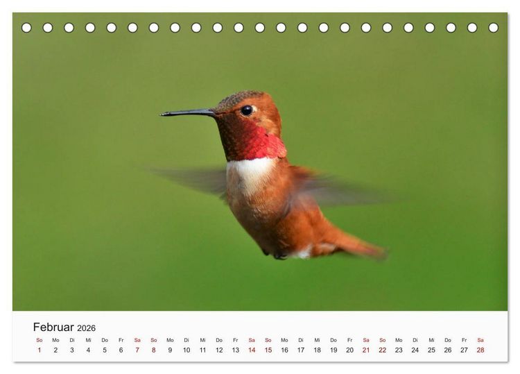 Produktbild: V&ouml;gel - Die K&ouml;nige der L&uuml;fte (Tischkalender 2026 DIN A5 quer), CALVENDO Monatskalender