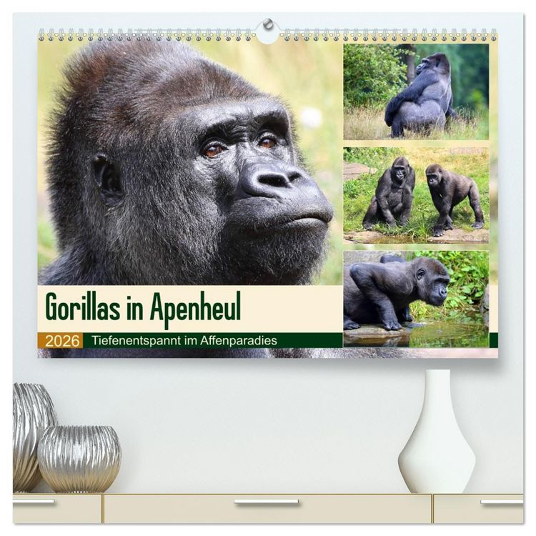 Produktbild: Flachlandgorillas in Apenheul (hochwertiger Premium Wandkalender 2026 DIN A2 quer), Kunstdruck in Hochglanz