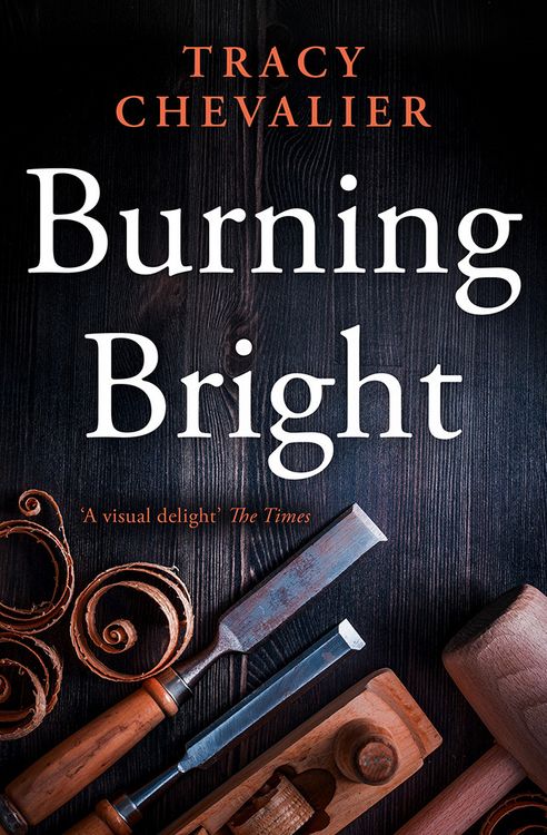 Produktbild: Burning Bright