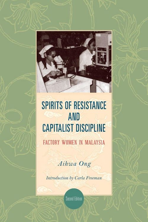 Produktbild: Spirits of Resistance and Capitalist Discipline
