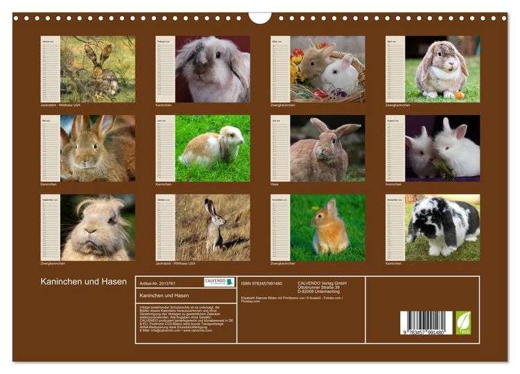 Produktbild: Kaninchen und Hasen (Wandkalender 2026 DIN A3 quer), CALVENDO Monatskalender