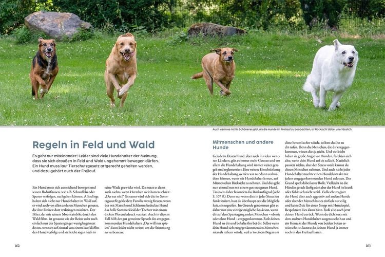 Produktbild: Jagdverhalten bei Hunden
