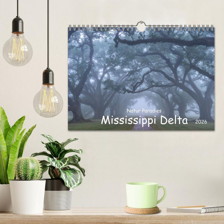 Produktbild: Natur Paradies Mississippi Delta (Wandkalender 2026 DIN A4 quer), CALVENDO Monatskalender