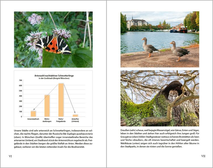 Produktbild: Stadtnatur
