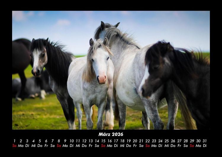 Produktbild: Die Welt der Pferde 2026 Fotokalender DIN A3