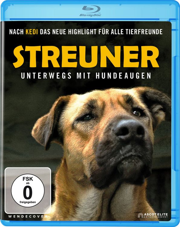 Produktbild: Streuner - Unterwegs mit Hundeaugen