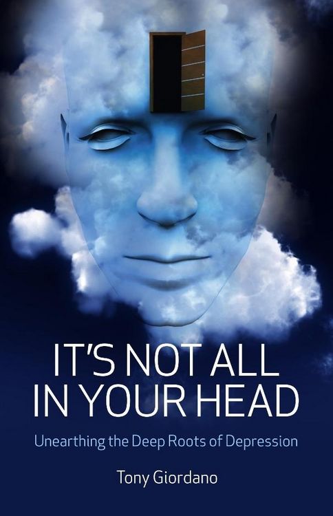 Produktbild: It's Not All In Your Head