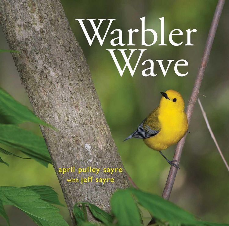 Produktbild: Warbler Wave
