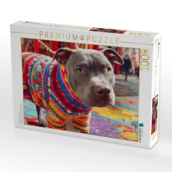 Produktbild: CALVENDO Puzzle Pit Bull im bunten Strick | 1000 Teile Lege-Gr&ouml;&szlig;e 64x48cm Foto-Puzzle f&uuml;r gl&uuml;ckliche Stunden