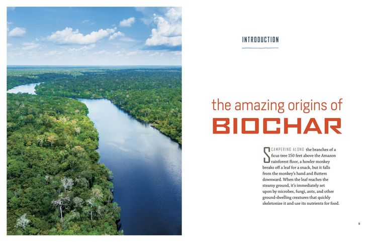 Produktbild: Gardening with Biochar