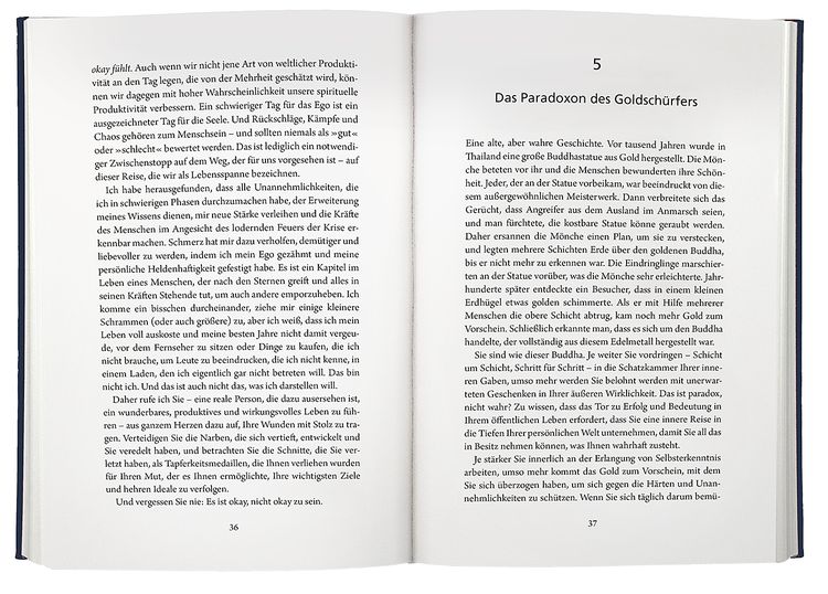 Produktbild: Manifest eines Alltagshelden