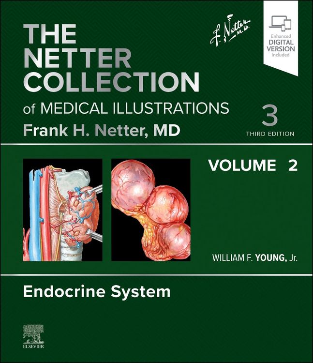 Produktbild: The Netter Collection of Medical Illustrations: Endocrine System, Volume 2