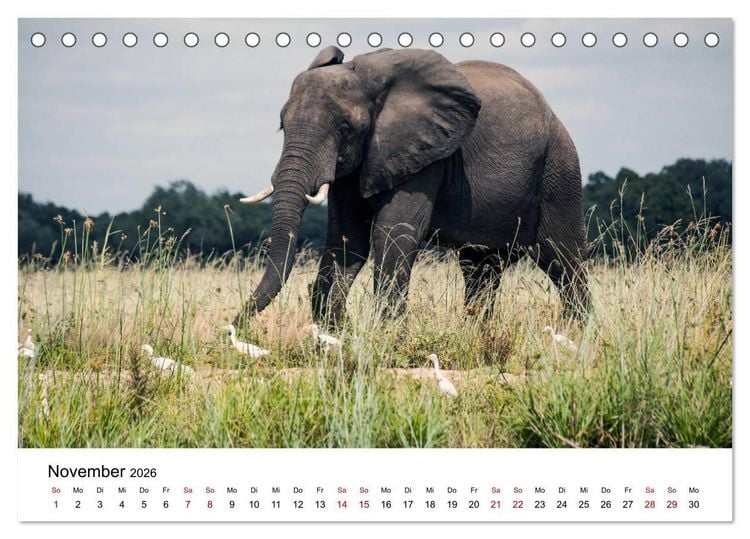 Produktbild: Sambia und der Sambesi (Tischkalender 2026 DIN A5 quer), CALVENDO Monatskalender