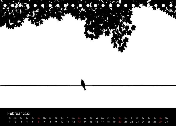 Produktbild: Kieler V&ouml;gel (Tischkalender 2022 DIN A5 quer)