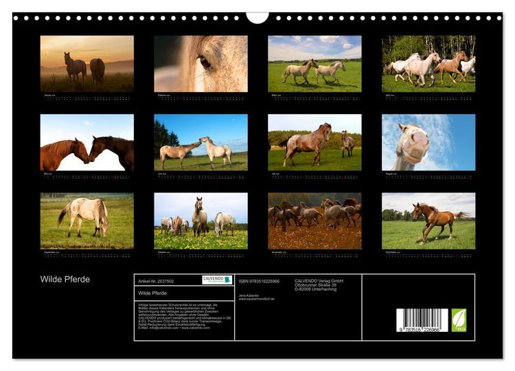 Produktbild: Wilde Pferde (Wandkalender 2026 DIN A3 quer), CALVENDO Monatskalender