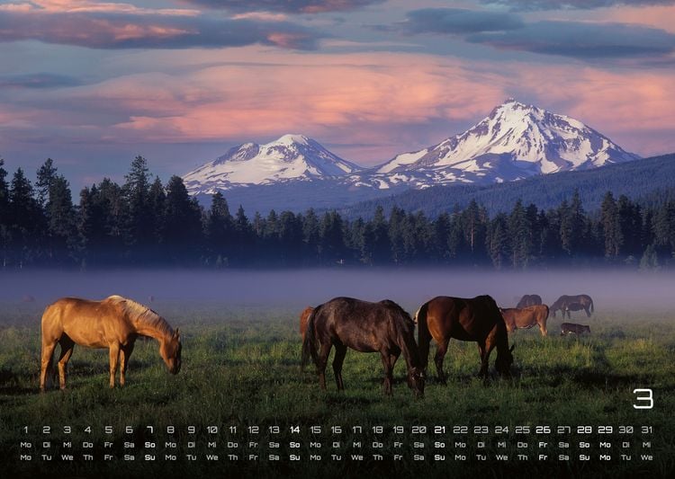 Produktbild: Pferdegefl&uuml;ster - Der Pferdekalender - 2027 - Kalender DIN A3