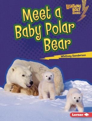Produktbild: Meet a Baby Polar Bear
