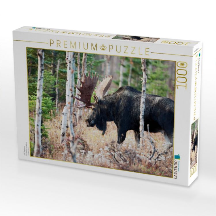 Produktbild: CALVENDO Puzzle Der Vagabund | 1000 Teile Lege-Gr&ouml;&szlig;e 64x48cm Foto-Puzzle f&uuml;r gl&uuml;ckliche Stunden