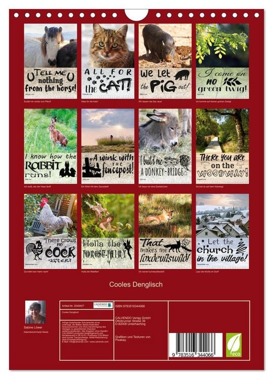 Produktbild: Cooles Denglisch (Wandkalender 2026 DIN A4 hoch), CALVENDO Monatskalender