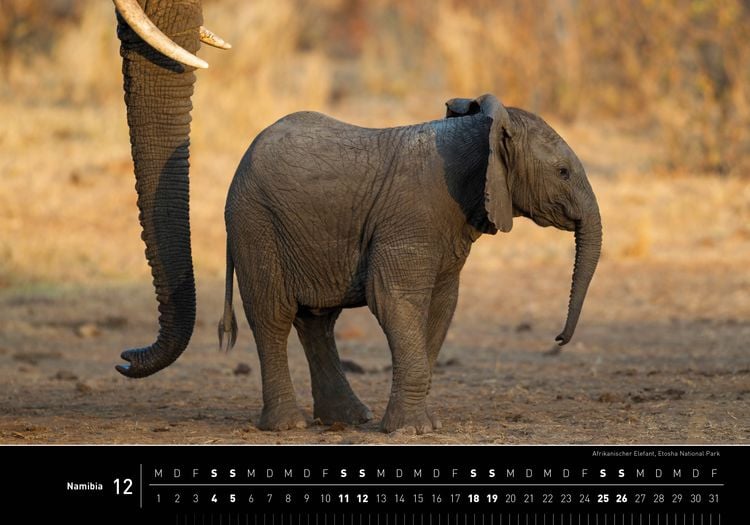 Produktbild: Namibia Premiumkalender 2027