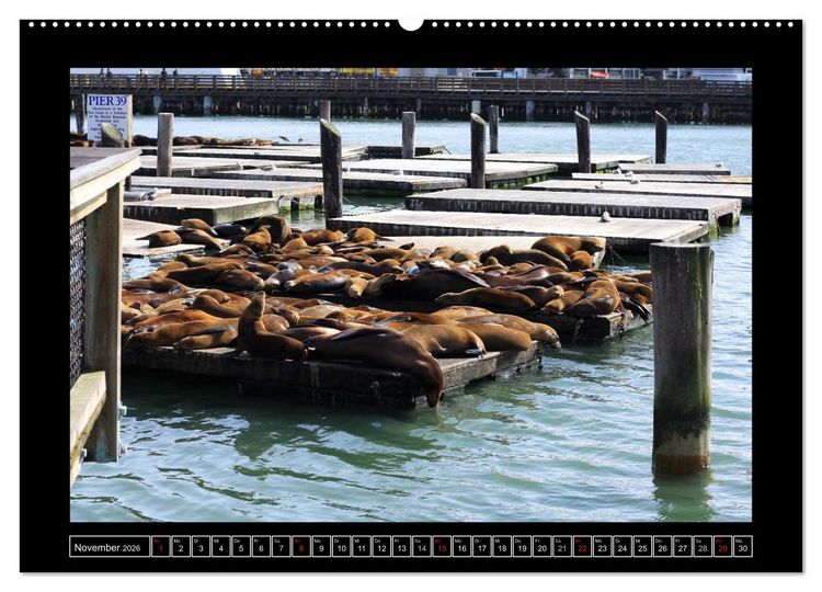 Produktbild: Wunderbares San Francisco (Wandkalender 2026 DIN A2 quer), CALVENDO Monatskalender