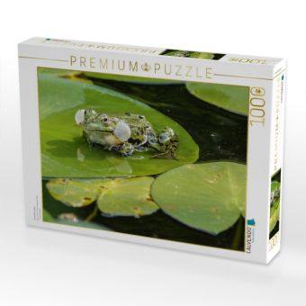 Produktbild: CALVENDO Puzzle Froschkonzert | 1000 Teile Lege-Gr&ouml;&szlig;e 64x48cm Foto-Puzzle f&uuml;r gl&uuml;ckliche Stunden