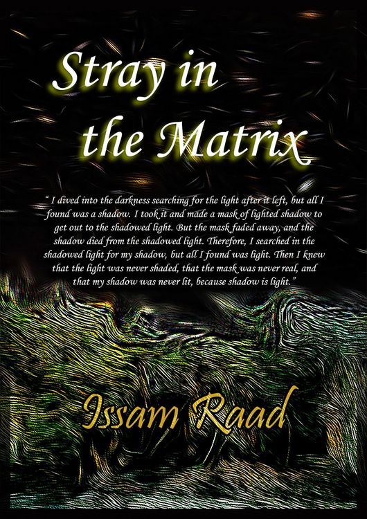 Produktbild: Stray in the Matrix