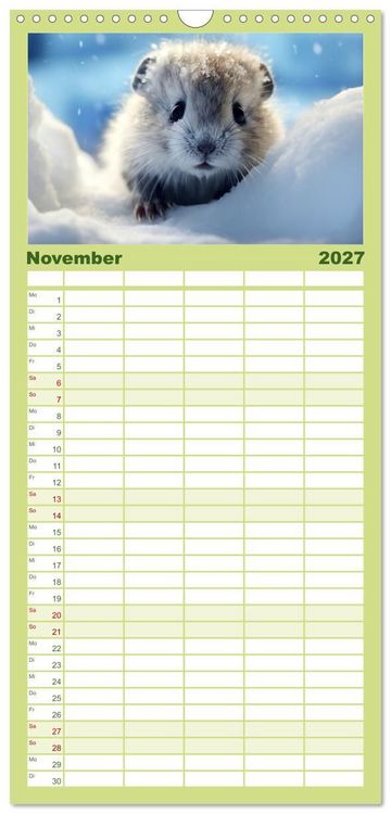 Produktbild: Familienplaner 2027 - Nach Art der Lemminge mit 5 Spalten (Wandkalender, 21 x 45 cm) CALVENDO