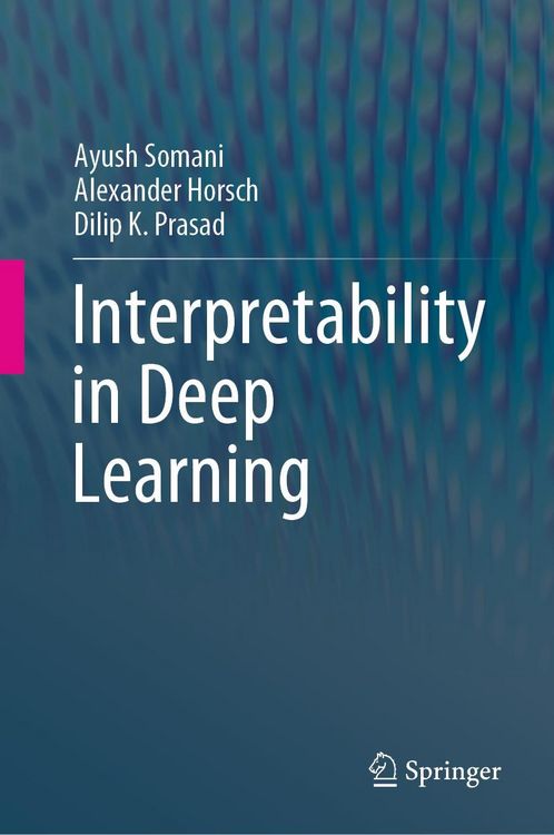 Produktbild: Interpretability in Deep Learning